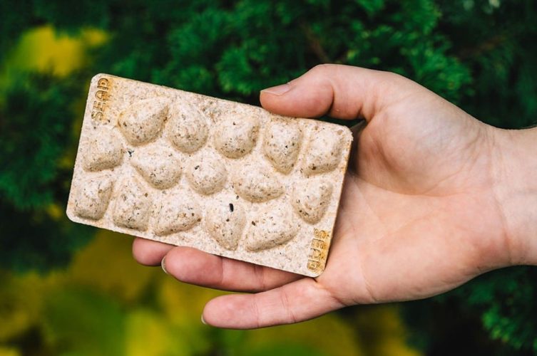 Vagens de sementes ecológicas feitas de resíduos de plantas e frutos do mar podem revolucionar as embalagens biológicas