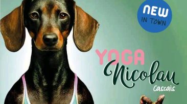 NICOLAU CASCAIS INAUGURA AS MANHÃS DE YOGA