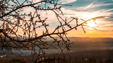 ALERtejo – Encontro Literário de Elvas ALERtejo – Encontro Literário de Elvas