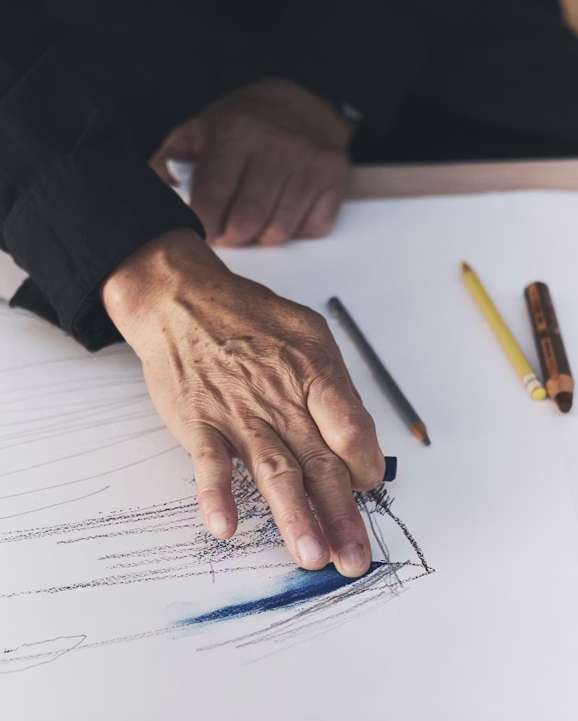 RUINART CONVIDA O ARTISTA JAPONÊS TADASHI KAWAMATA A PARTICIPAR DE SUAS CONVERSAS COM A NATUREZA